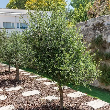 Guestready - Jardim Oliveiras - 2 Apartment *